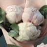 Букет из 3 розовых пионов и эвкалипта