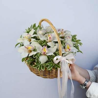 Корзина с орхидеями Complement