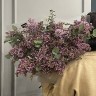 Букет из 15 веточек сирени