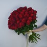 Букет из 51 бордовой розы 60см (Иран Премиум)