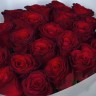 Букет из 25 бордовых роз 60см (Иран Премиум)