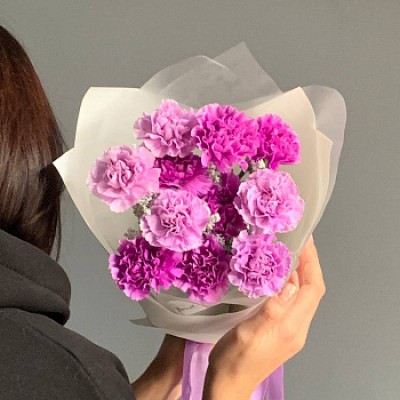 Букет из 11 лунных гвоздик и кохии