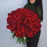 Букет из 101 бордовой розы 60см (Иран Премиум)