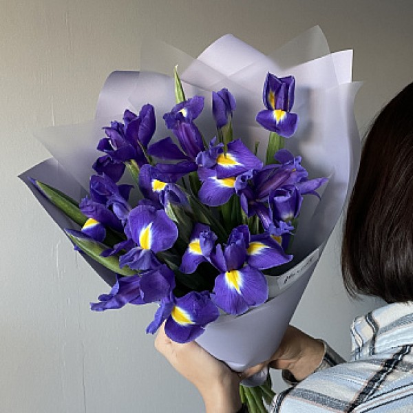 Букет из 15 ирисов