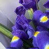 Букет из 15 ирисов