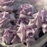 Букет из 7 французских роз Ocean Song