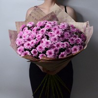 Хризантема