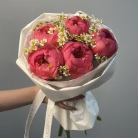 Матрикарии