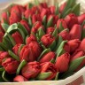 Букет из 51 красного тюльпана