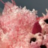 Букет сухоцветов Pinky