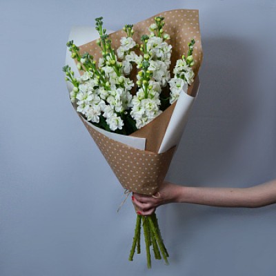 Букет из 9 маттиол