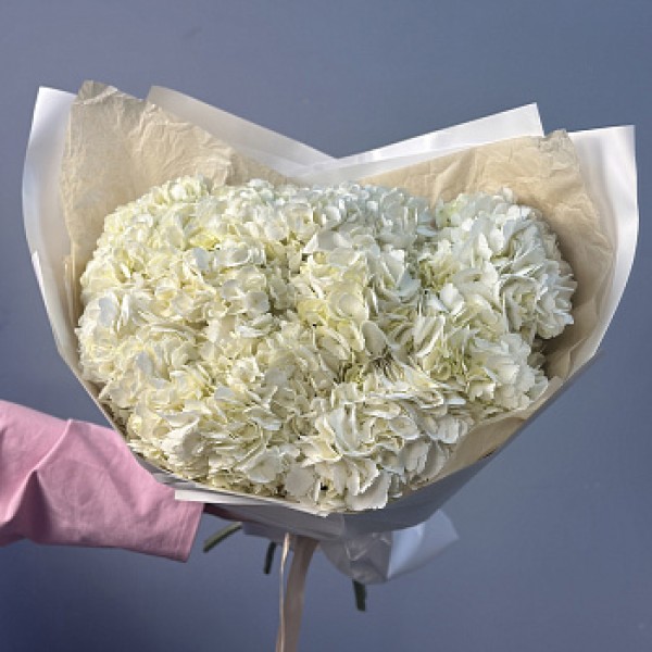 Букет из 15 белых гортензий