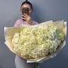 Букет из 15 белых гортензий
