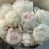Букет из 9 белых пионов