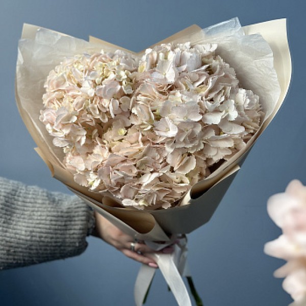 Букет из 3 розовых гортензий