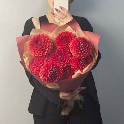 Букет из 9 бордовых георгинов