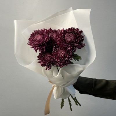 Букет из 5 хризантем Bigoudi