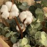 Букет из хлопка и эвкалипта M
