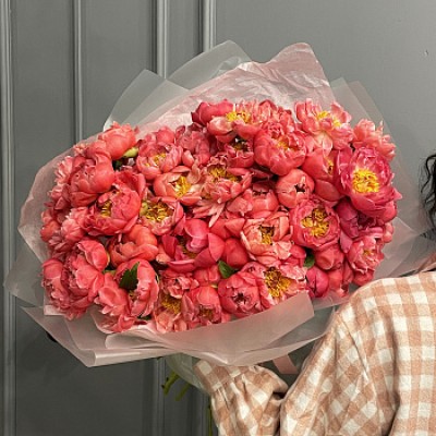 Букет из 51 пиона Coral Sunset