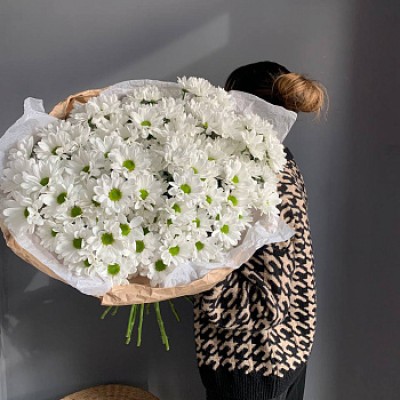 Букет из 19 белых кустовых хризантем Bacardi