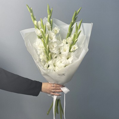 Букет из 5 белых гладиолусов
