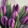 Букет из 9 фиолетовых тюльпанов
