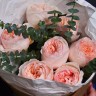 Букет пионовидных роз Juliet и эвкалипта S