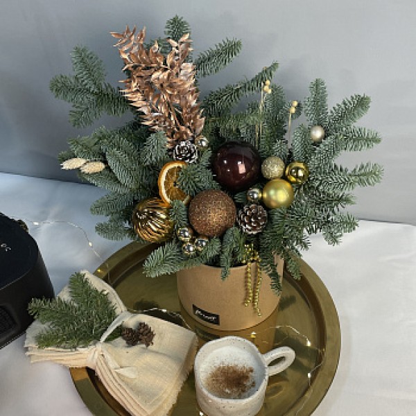 Зимняя композиция Брауни М