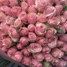 Букет из 101 розовой розы 50см (Иран)
