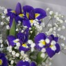 Букет из 9 ирисов и гипсофилы