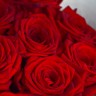 Букет из 15 красных роз 60см (Местная)