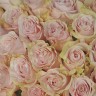 Букет из 51 розы Pink Mondial 50см