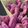 Букет из 25 махровых тюльпанов