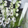 Букет из 5 белых дельфиниумов
