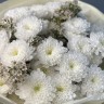 Букет из 5 хризантем Baltica и ваксфлауэра