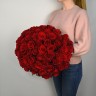 Букет из 51 красной розы 70-80 см
