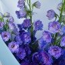 Букет из 5 синих дельфиниумов