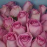Букет из 25 нежно-розовых роз 50см (Иран)