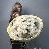 Букет из 15 хризантем Baltica и ваксфлауэра