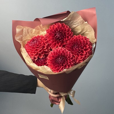 Букет из 5 бордовых георгинов