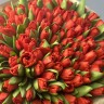 Букет из 101 красного тюльпана