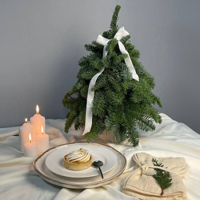 Ёлочка Natural