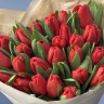 Букет из 35 красных тюльпанов