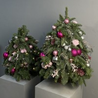 Зимняя коллекция