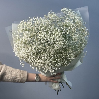 Букет из 9 веточек гипсофилы