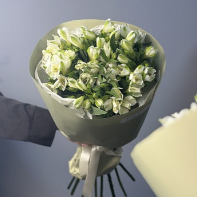 Букет из 11 белых альстромерий