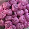 Букет из 25 ярко-розовых пионов