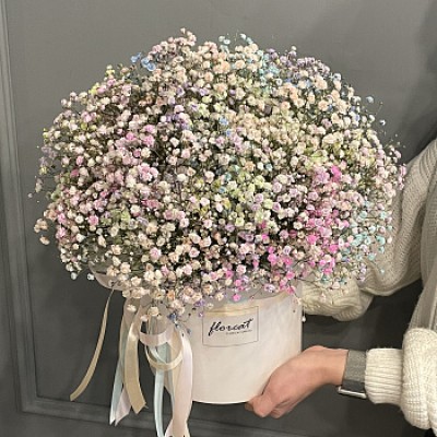 Букет в шляпной коробке из цветной гипсофилы