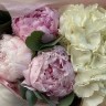 Букет гортензии и пионов Strawberry Cream