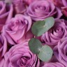 Букет роз Deep Purple M